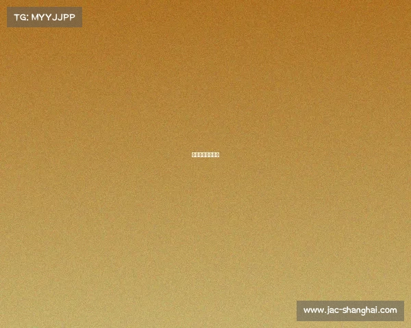 李娜网球决赛视频